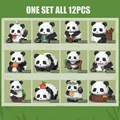 All 12pcs Nobox
