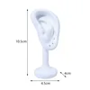 1 pièce : Présentoir pour boucles d'oreilles en forme de modèle d'oreille, idéal pour la diffusion en direct et les magasins de bijoux