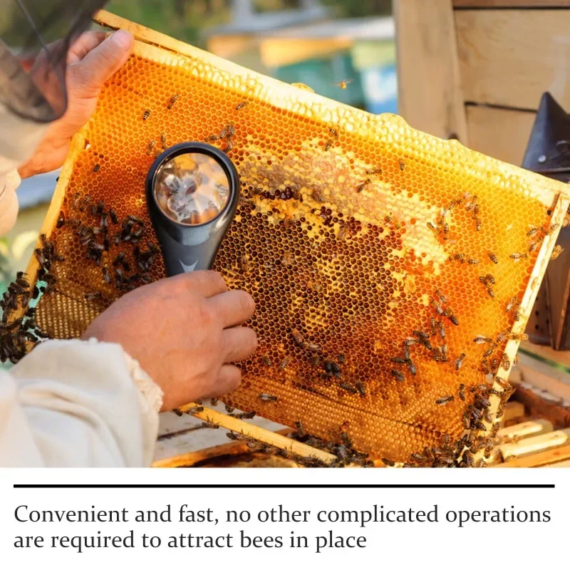 Moonsbury Bee Attractant Bee Attractant essence 2