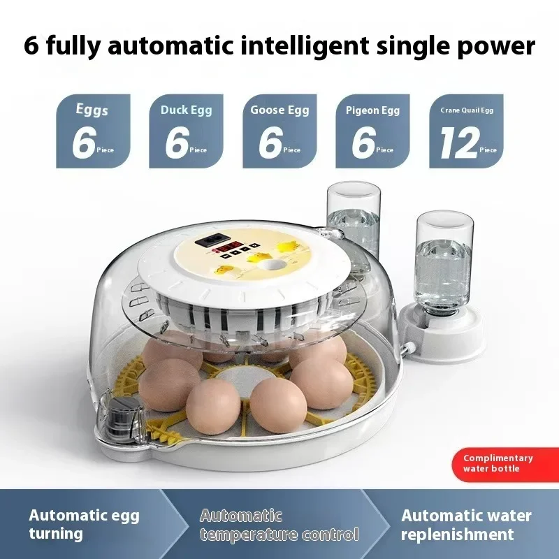 Egg Incubator with Automatic Flipping Function, Temperature and Humidity Digital Control, Supporting 8 Eggs US Plug Cooking Tool