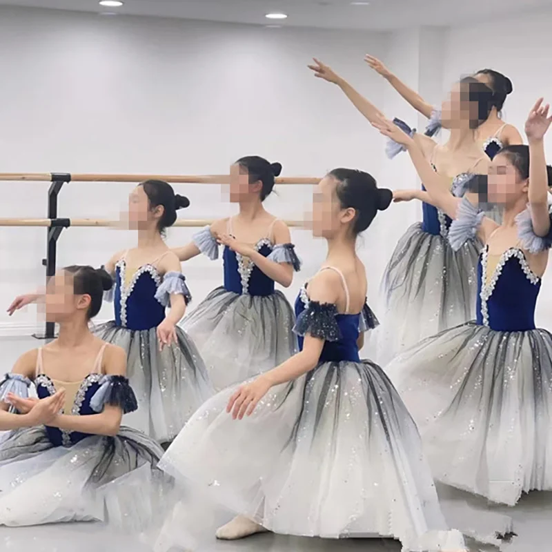 

2022 Adult Long Tutu Professional White Swan Lake Ballet Costume Ballet Tutu Ballet Dresses Performance dancewear
