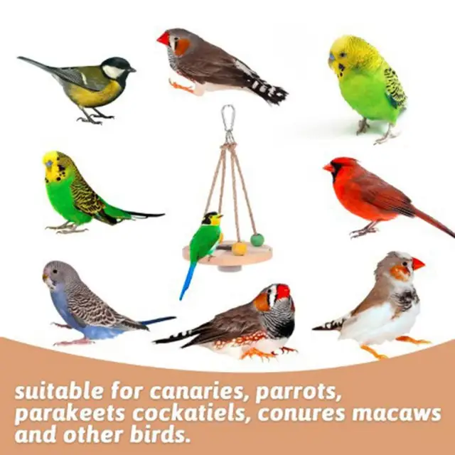 BIRDCAKE ARACHIDES POUR OISEAUX DU CIEL