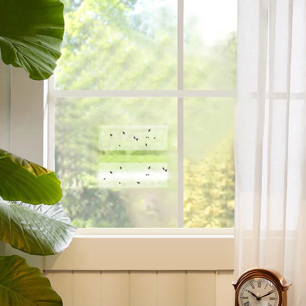 Raid Lot De 4 Autocollants Pour Fenêtre Piège à Mouches