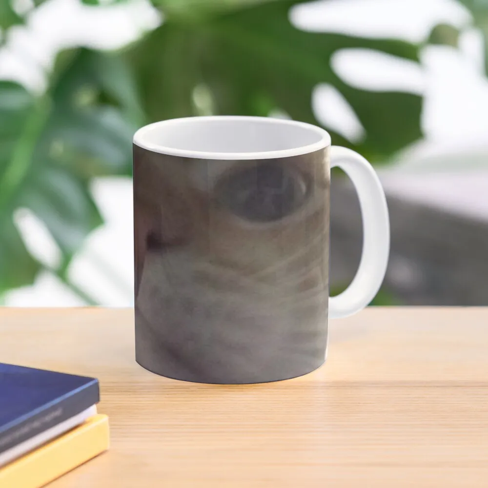 

Selfie Cat Coffee Mug Ceramic Cups