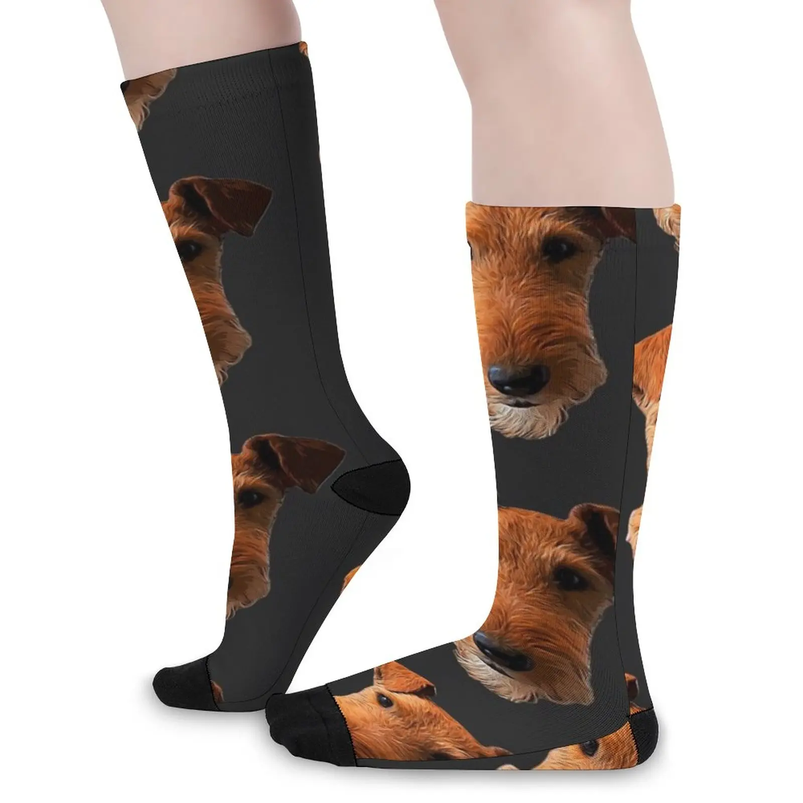Airedale Terrier Head Art Lakeland Welsh Socks Women's socks high MEN FASHION Cartoon characters socks