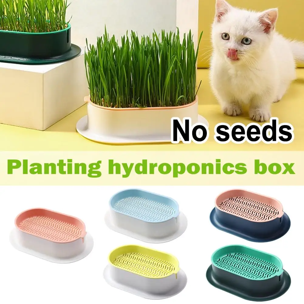 1set Pet Cat Sprout Dish Growing Pot Hydroponic Plant Cat Grass
