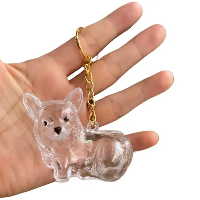 Dog Hair Collection Pendant Hair Storage Box Charm Pet Cute Keychains Clear Plastic Pet Hair Capsule Souvenirs DIY Gifts 5