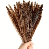 Natural Pheasant Tail Feathers 4