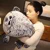 20CM Angry Blob Seal Pillow Chubby 3D Novelty Sea Lion Doll Plush Stuffed Toy Baby Sleeping Throw Pillow Gifts for Kids Girls 4