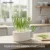 3D Printed Multifunctional Hydroponic Pot for Scallions And Garlic