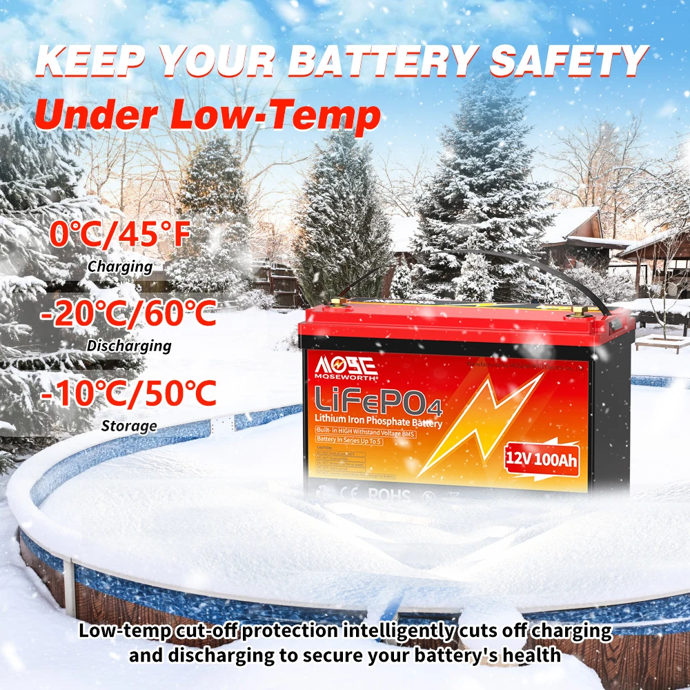 12V LiFePO4 Lithium Iron Phosphate Battery Pack 6