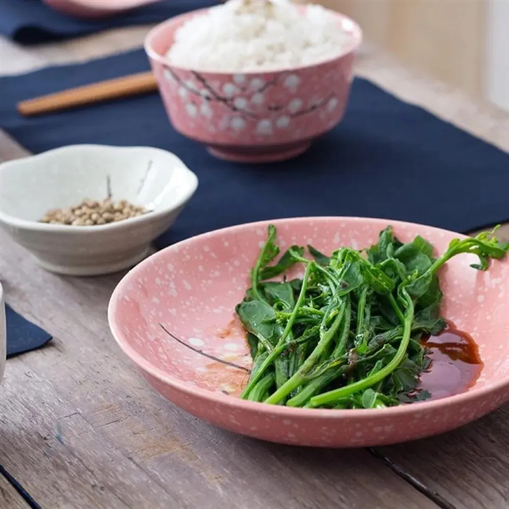 Eco-Friendly Japanese Style Ceramic Dinnerware Set