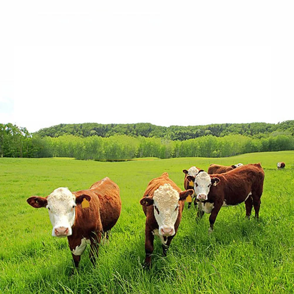 Happy Yami Vieh Ohr marken leere Rinder Ohr marken Kunststoff Vieh Ohr Marker Tier Ohr Identifikation etiketten Vieh