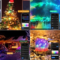 TUYA Fairy String Lights RGBIC Color Changing 10m 100 LED Fairy Light Indoor Outdoor String Light Multicolor Waterproof Light - Image 2