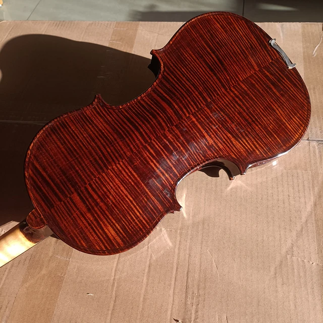 Spruce, 70-Old Spruce Stradivarius violino Spruce Europeia, 4/4