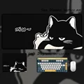 Cat-12