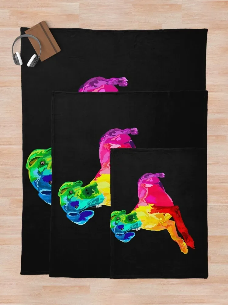 �� ��ȣ�� ���� �׷���Ʈ ����, ��ä�ο� �׷���Ʈ ����, ���� ������ ��� ħ��, ķ�� �ö���, �ҷ��� ���