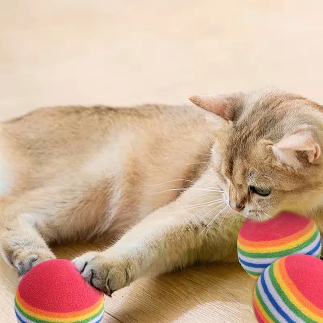 5/10/30PCS Rainbow EVA Cat Toys Ball Interactive Cat Dog Play Chewing Rattle Scratch EVA Ball Training Balls Pet Toys Supplies 4