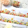2M/ Roll Yellow Rose PET Tape Spring Flower Masking Tape DIY Scrapbooking Sticker Journal Diary Aesthetic Stationery 2