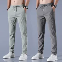 2025 summer slim new Korean version plus size trendy straight tube light business ice silk casual pants for men slim fit pants 1