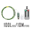 10 Meters 100 LEDs