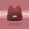Korean Version New Cute Cat Ear Letter Patch Knitted Hat Women's Autumn and Winter Thickened Warm Versatile Simple Beanie Cap 2