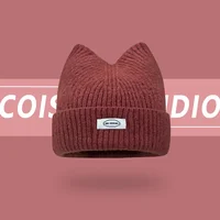 Korean Version New Cute Cat Ear Letter Patch Knitted Hat Women's Autumn and Winter Thickened Warm Versatile Simple Beanie Cap 2