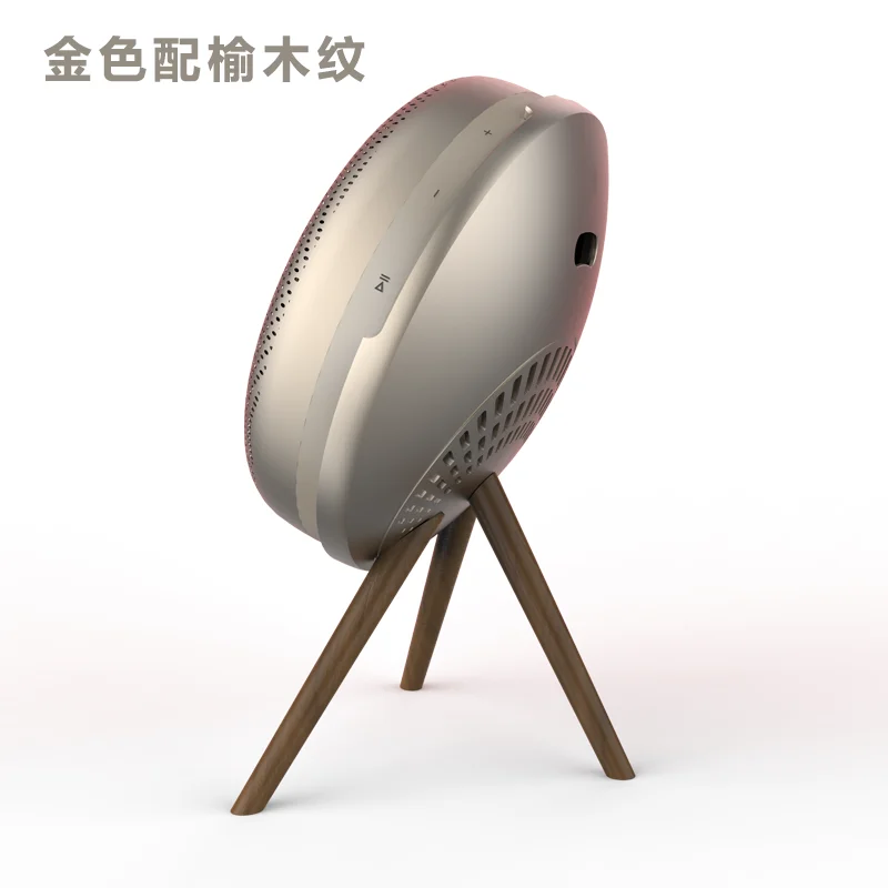 Bang & Olufsen Beoplay A1 2nd Gen 2台セット Amazon.com: Bang & Olufsen Beosound A1 (2nd Generation