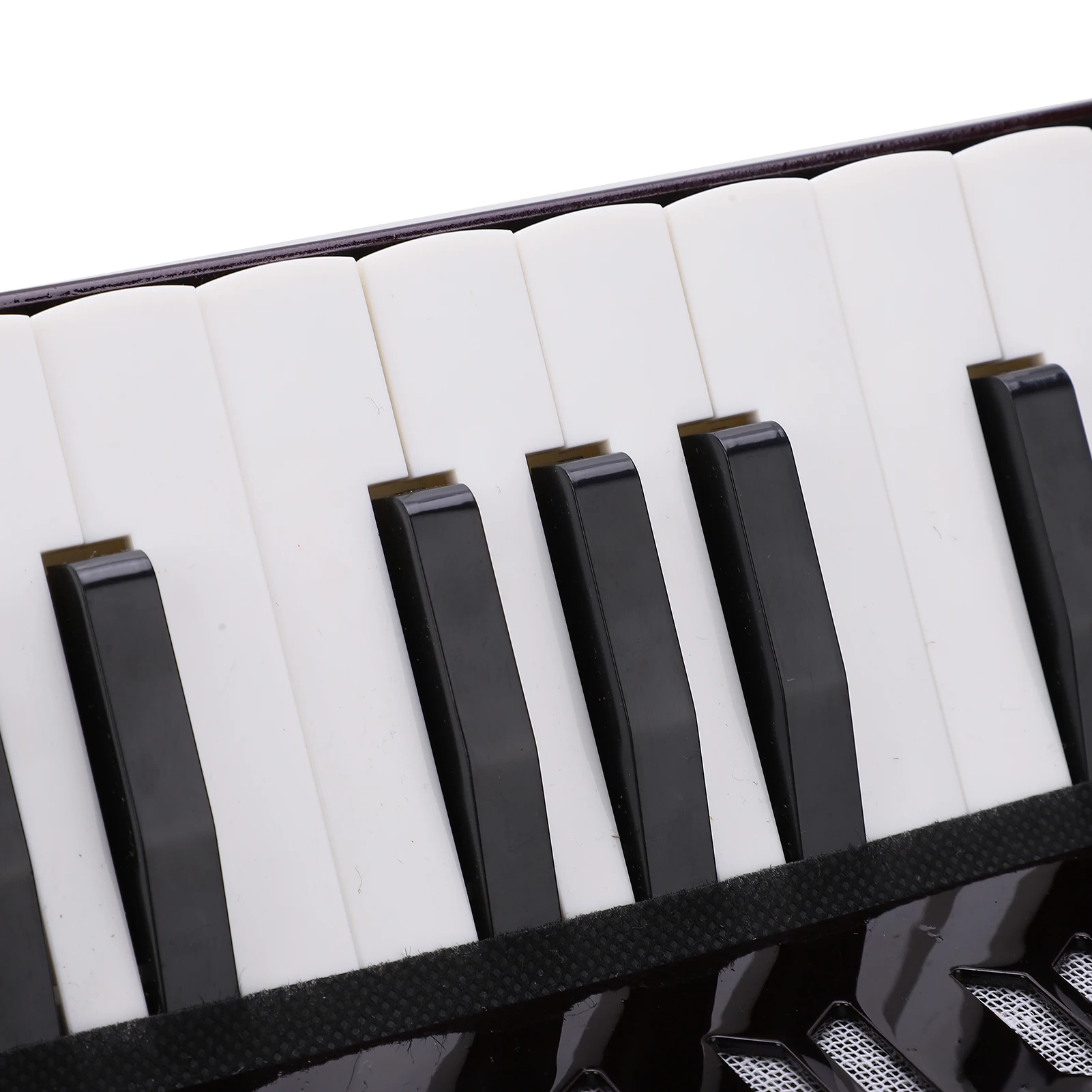 17 Key 8 Bass Accordion Musical Piano Keyboard Toy Rhythm Training Spring Instrument