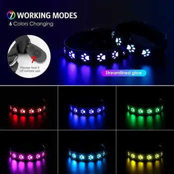 Rechargeable LED Dog Collar 2