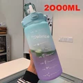 2L green purple