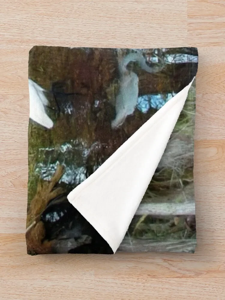 �ٸ��� �̺� ��� ������, �÷θ����� �� ���������� ���ų� ��������, ū �Ϸ�