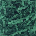 Z26 Dark green