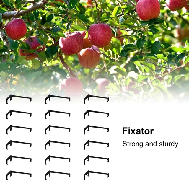 10Db Gyümölcsfa Ág Végtag -Terjedője Az Erősen Elterjedő Lábszögekhez Műanyag Bonsai Csomagtartó Modellezés - Image 5