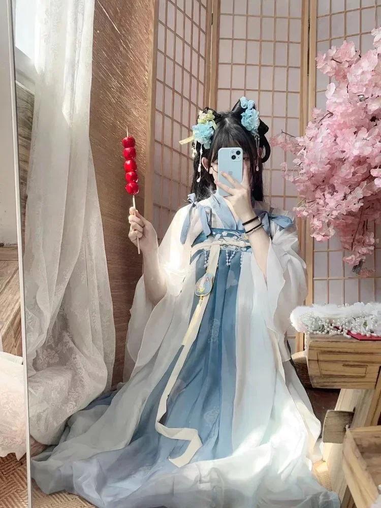 

Falda mejorada de la dinastía Tang Ru para mujer, vestidos de hada con estampado Floral, elegante vestido de fiesta tradicional