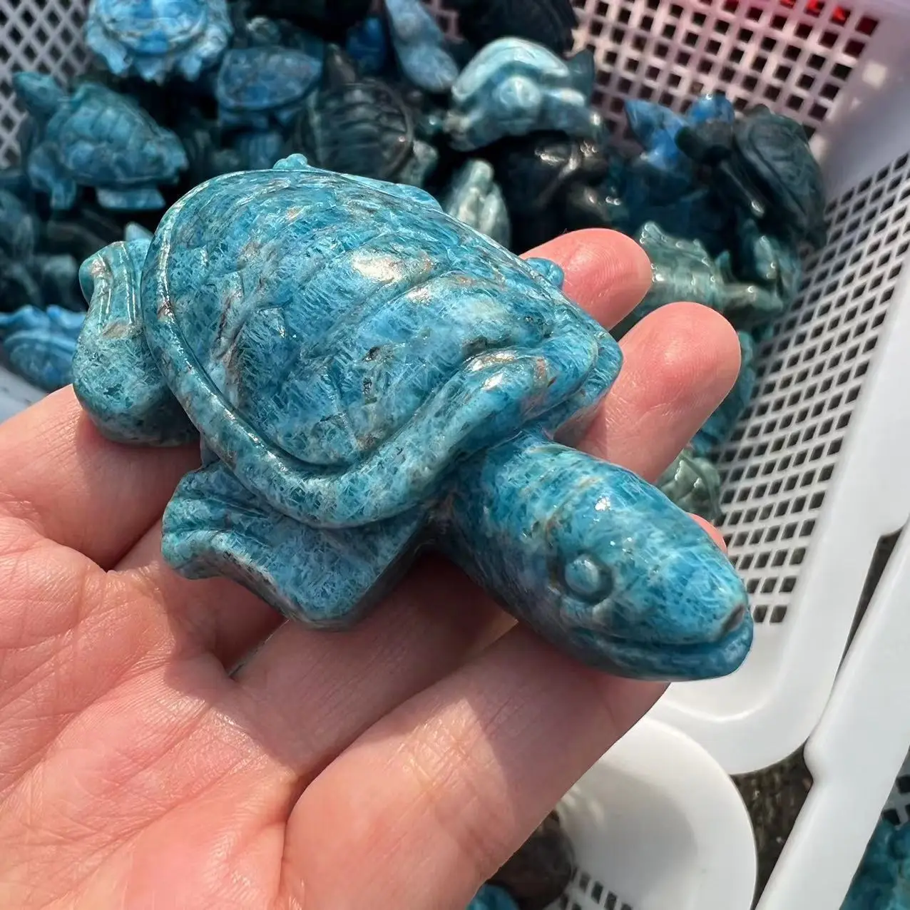 Natural Lapis Lazuli Turtle Tortoise Statue Healing Crystal Gemstone Animal Pocket Stone Figurine 5