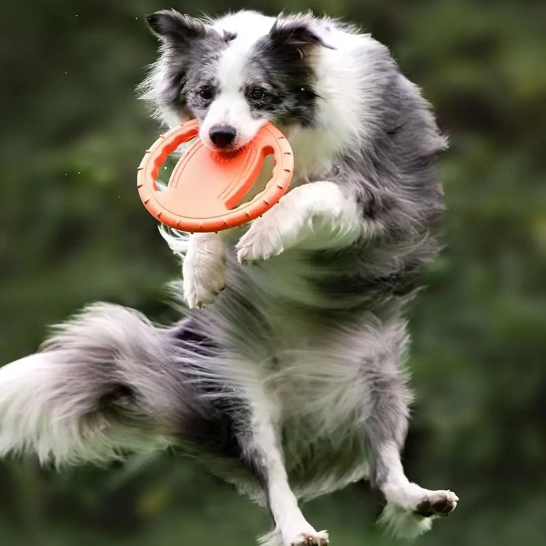 EVA Flying Dog Disc 6