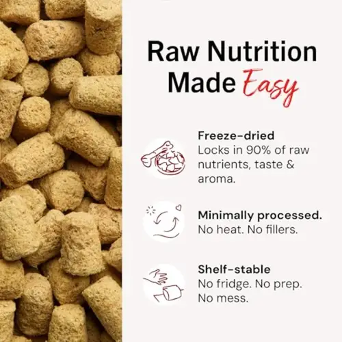 Freeze-Dried Raw Beef Meal Mixers- Dog Food Topper and Mixer - Made with 95% Grass-Fed Beef Organs and Bone - Perfect for Picky - Image 6