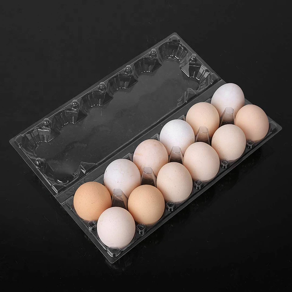 Plastic Egg Cartons Bulk 48 Packs Empty Clear Plastic Egg - View #11