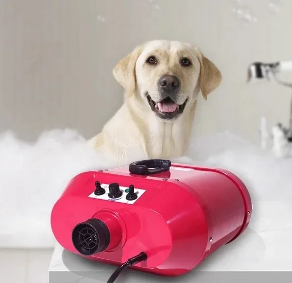 Portable Powerful Pet Dryer Wall Mounted Water Blower For Pet Grooming Bathing