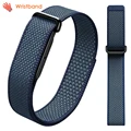 W-Midnight blue