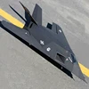 Lanxiang/LX/Sky Flight Hobby F117 64mm Nighthawk PNP/ARF RC Model Airplane 5