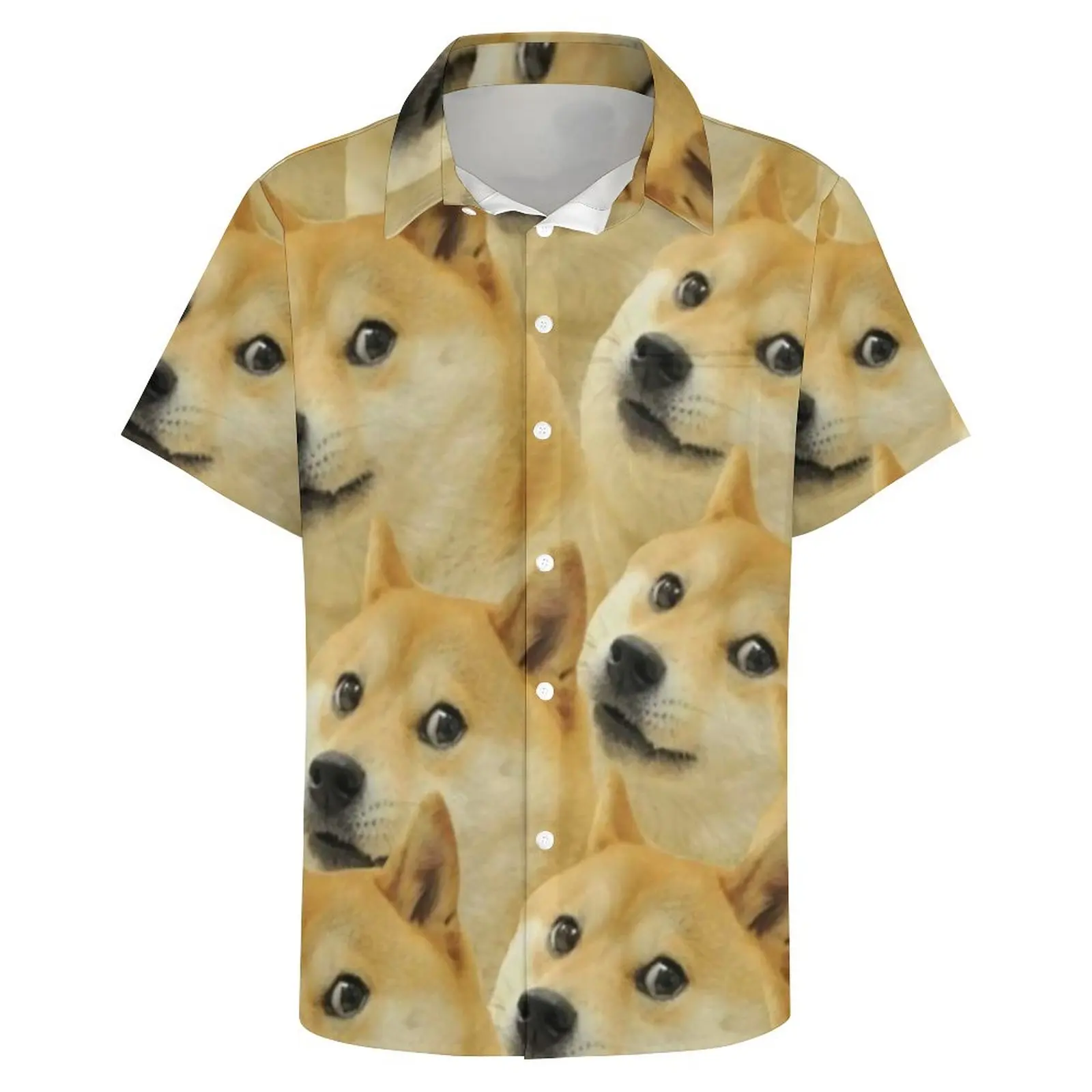 Slide image bb912ceae299479bbd00763fdbf1af69