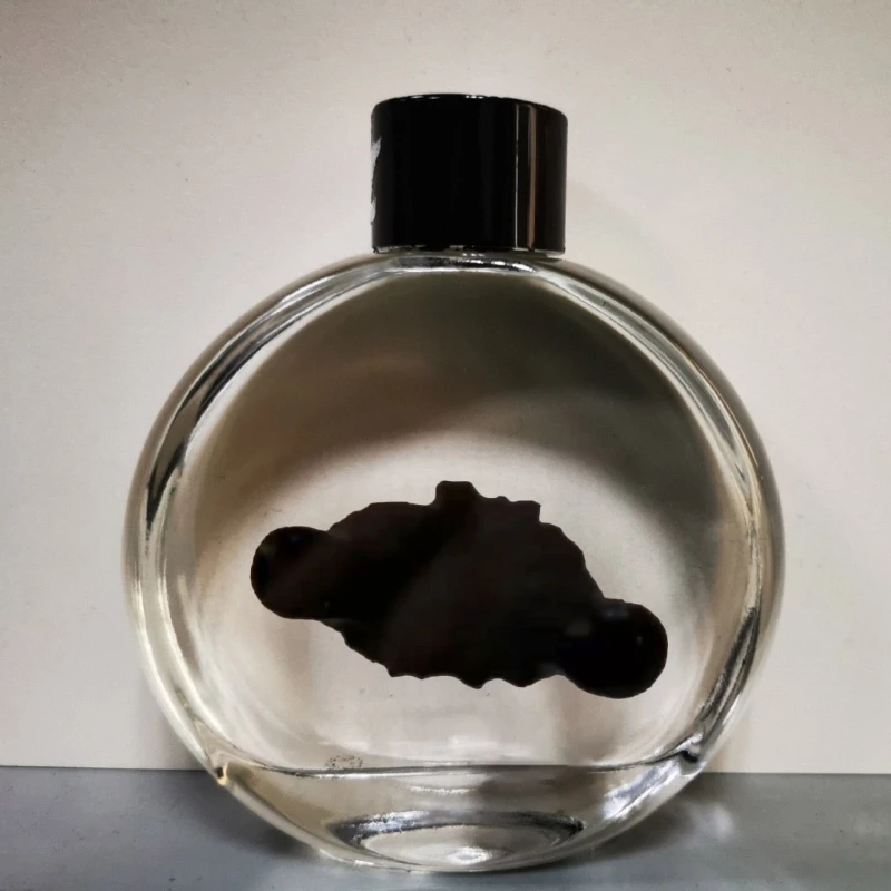 Ferrofluid Display Flasche - Magnetisches Science Toy Für Schreibtisch Deko