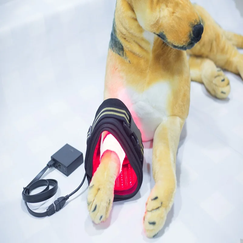 Laser Therapy Device 650nm 808nm for Sport Injuries Arthritis Heel Spurs Pain Relief for human Pet Cat Dog Horse
