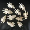 1pcs Pieces of Sea Turtle Skull Crafts Jewelry, Educational Taxidermy Monster Skull Specimen Collection 2