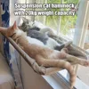 Hanging Cat Hammocks Bed House Kitten Climbing Window Nest Cats Swing Bearing 20kg in winter bathed in sunlight sleeping by cats 2