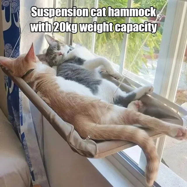 Hanging Cat Hammocks Bed House Kitten Climbing Window Nest Cats Swing Bearing 20kg in winter bathed in sunlight sleeping by cats 2