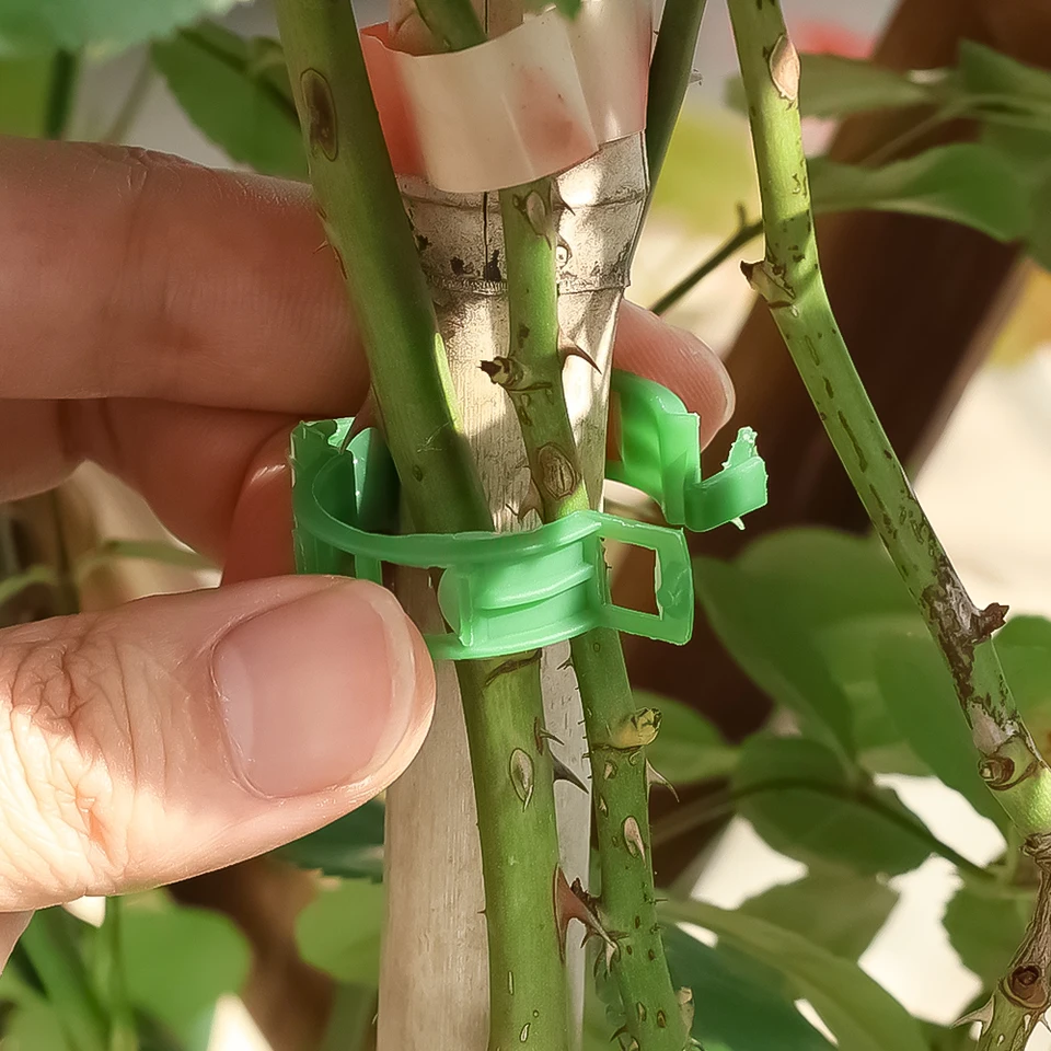 Clip di supporto per piante, clip di fissaggio per piante da giardino, traliccio in plastica, clip di fissaggio per pomodori, clip di fissaggio per piante rampicanti (nero, 200