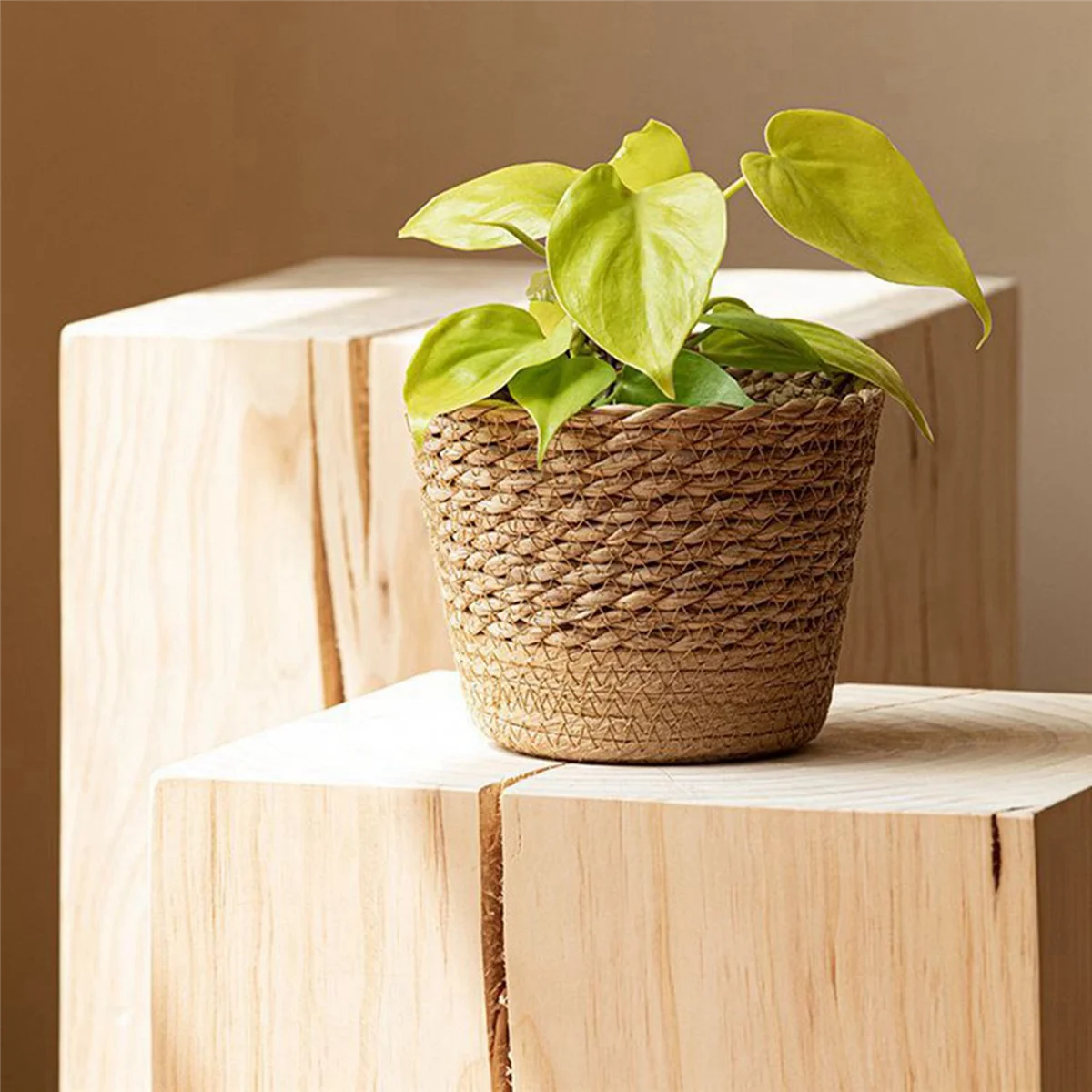 BAAU 2X Straw Weaving Flower Plant Pot Wicker Basket Rattan Flowerpot Storage Basket Handmade Woven Planter M